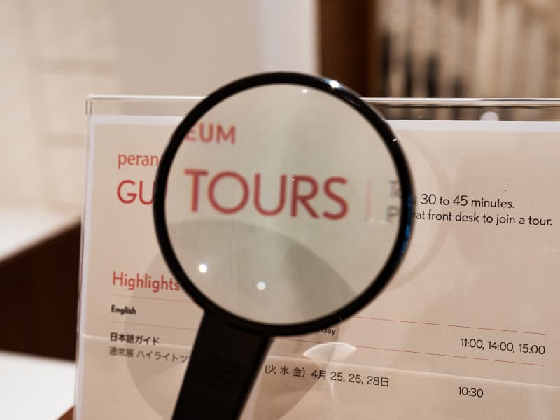 Magnifyingglass 800x600