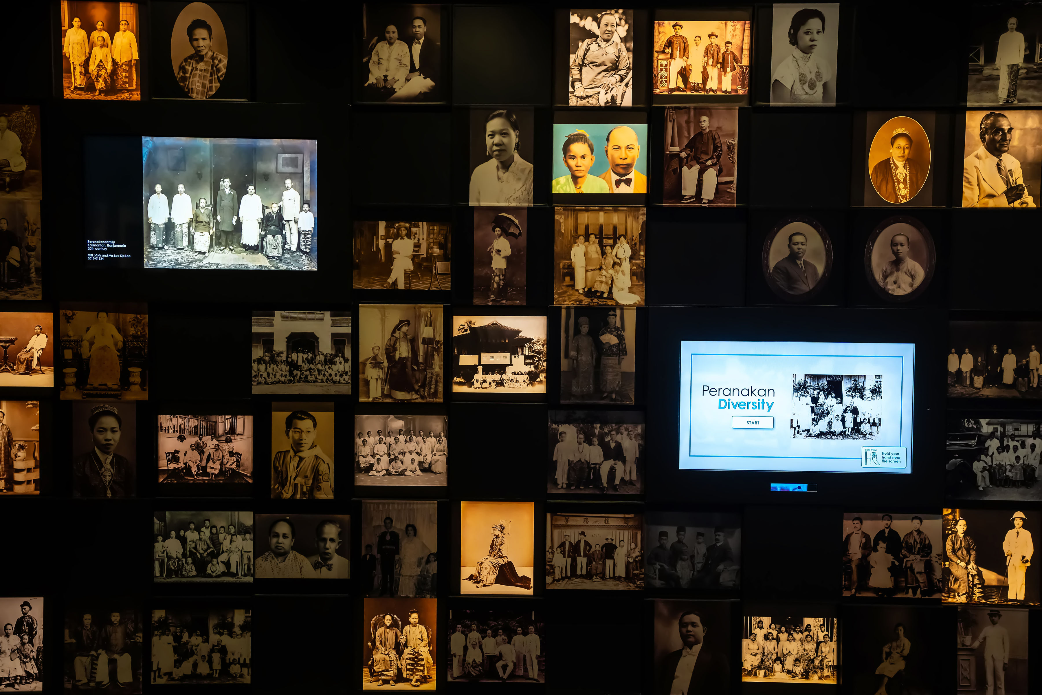 Tpm Origins Gallery